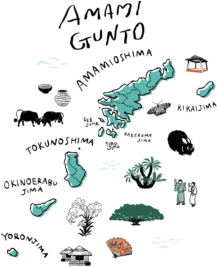 奄美群島のマップ（図解）