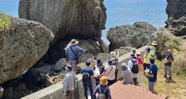 地域内循環の写真